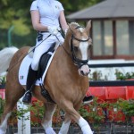 Alana Cazabon Sullivan et Schermeer S Hof Arendsoog - ph. Camille Kirmann