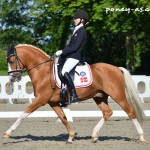 Sandra Aagaard Hyrm et Der Harlekin B - ph. Camille Kirmann