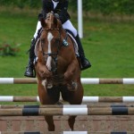 Calvin Böckmann (Ger) et Askaban B - ph. Pauline Bernuchon