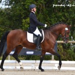 Dinky Toy VH Bloemenhof (Sbs, par Champion de Luxe, Drp), 3e des 5 ans associé à Leslie Briquet - ph. Pauline Bernuchon