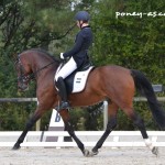 Dinky Toy VH Bloemenhof (Sbs, par Champion de Luxe, Drp), 3e des 5 ans associé à Leslie Briquet - ph. Pauline Bernuchon