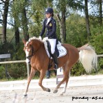 Dirla (Drp, par Djbouti) est sacrée championne des 4 ans sous la selle de la Belge Amandine Prevost - ph. Pauline Bernuchon