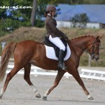 Valdy Vici (Pfs, par Quoutsou), 6e et Excellent avec Sophie Maurocordato - ph. Pauline Bernuchon