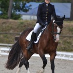 Valentino de Mela (Wd, par Machno Carwyn), 8e et Excellent sous la selle d'Anaïs Houley - ph. Pauline Bernuchon