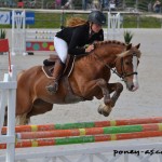 Adonis des Chouans et Camille Sauvages - Très Bon - ph. Pauline Bernuchon