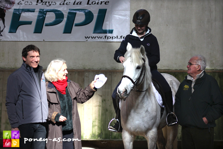 Tosca de l'Aulne participait en 2014 aux mondiaux de TREC au milieu des chevaux - ph Anaïs Barbier