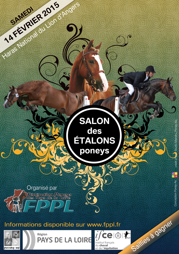 Salon des étalons poneys FPPL 2015 - coll. Poney As
