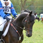 Victoire de Muizon et Mon Nantano de Florys SL - ph. Camille Kirmann