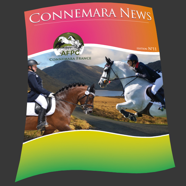 Connemara News n°11