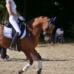 Daphne van Pepperstraten et Wonderful Girl - ph. Camille Kirmann