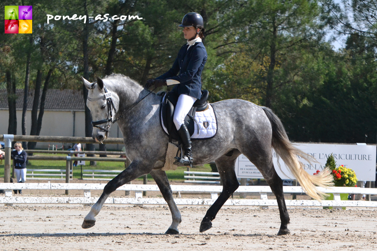 Appy Love de Salzert (Oc, par Roger de Garenne, Co et Nina de la Chevalerie, Pfs par Flatteur, Wtc) est champion des 5 ans sous la selle de Mathilde Deslandes - ph. Pauline Bernuchon Appy Love de Salzert (Oc, par Roger de Garenne, Co et Nina de la Chevalerie, Pfs par Flatteur, Wtc) est champion des 5 ans sous la selle de Mathilde Deslandes - ph. Pauline Bernuchon