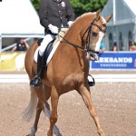 Benedek Pachl (Hon) et Macciato - ph. Pauline Bernuchon