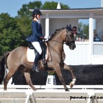 18e, Eveline Bos (Ned) et Hippique Media's Valentino, 68.425 % - ph. Pauline Bernuchon