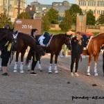 Les cracks danois ! - ph. Pauline Bernuchon