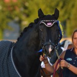 Rembrandt DDH, mini Totilas ! - ph. Pauline Bernuchon