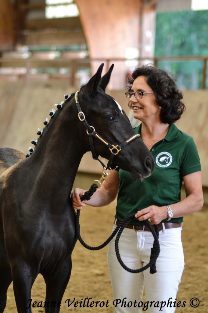 Free Style d'Extra, championne des foals femelles - ph. Jeanne Veillerot