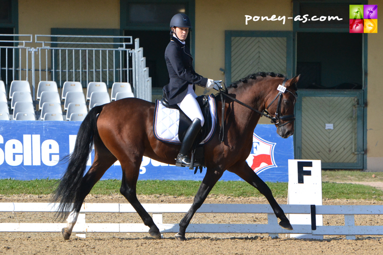Champion - Elite - Dinky toy Vh Bloemenhof (Sbs, Champion de Luxe x Don't Worry, Drp) sous la selle de Leslie Briquet - ph. Pauline Bernuchon