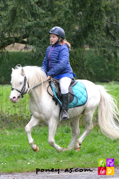 Publi-rédactionnel : HDCP, les friandises 100% naturelles ! - Poney As