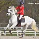 Alice Laine et Oxford de Garenne - ph. Camille Kirmann