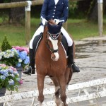 Sophie Williams (Gbr) et Ferrari - ph. Anaïs Barbier