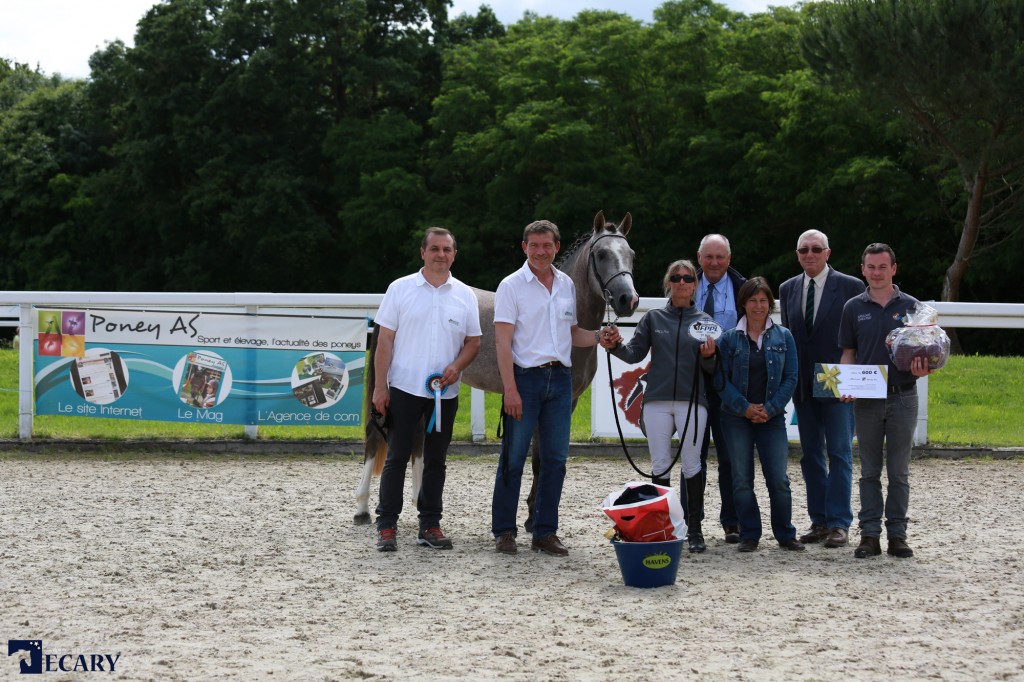 Dagster du Roquet, récompensé par Poney As - ph. Agence Ecary