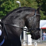 Charlotte Palas (Fra) et Under Cover Fast - ph. Pauline Bernuchon