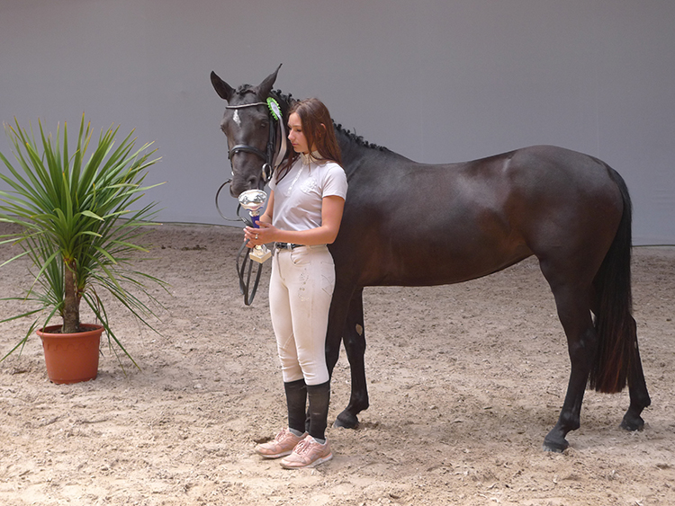 Demie Lune du Luy présentée par les écuries Bérangère Moroux, 1ère de la classe des hongres et femelles de 3 ans taille C – ph. Marion Lestelle Demie Lune du Luy présentée par les écuries Bérangère Moroux, 1ère de la classe des hongres et femelles de 3 ans taille C – ph. Marion Lestelle