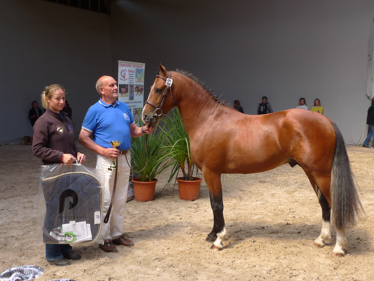 Elquabar des Monceaux, vainqueur des mâles de 2 ans, et son naisseur André Magdelaine – ph. Marion Lestelle