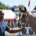 Jean-Philippe Lima et Podeenagh Aluinn - ph. Pauline Bernuchon