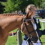 Le poney de l'équipe britannique, Craig Mor Tom, double champion d'Europe en 2013, au taquet ! - ph. Pauline Bernuchon