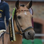 Lucie-Anouk Baumgürtel (Ger) et Massimiliano 3 - ph. Pauline Bernuchon