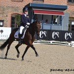 Maddy Whelan (Gbr) et Ode to Shannon - ph. Pauline Bernuchon