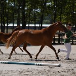 Milone du Vasset - Ph. Jeanne Veillerot Photographies