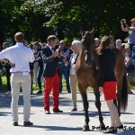 Passage des poneys français à la visite véto. Winnetou et Amandine Gaudron se préparent - ph. Pauline Bernuchon