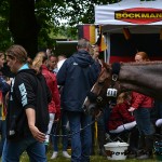 Podeenagh Aluinn, dernière cartouche des Bleus, sans faute sur le cross, comme tous les autres couples français ! - ph. Pauline Bernuchon