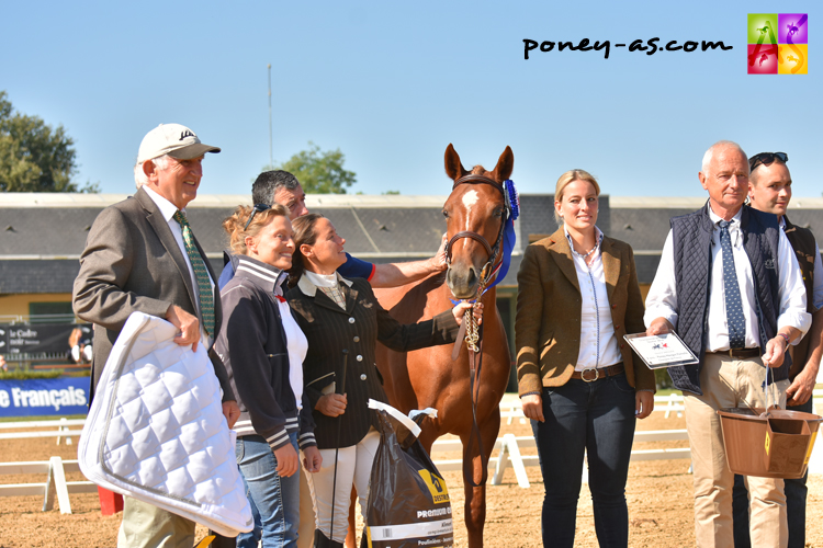 Champion 2 ans Hongres et Femelles, Edelweiss Vici (par Quoutsou et Anthea du Roc par Machno Carwyn) - ph. Anaïs Barbier