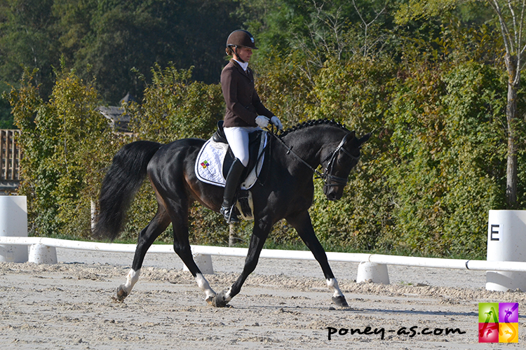 Orchard NL *Poney As - ph. Pauline Bernuchon