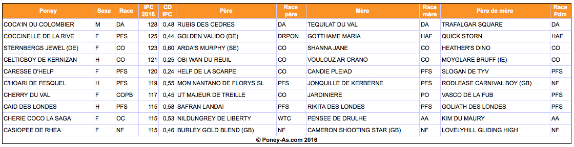 Meilleurs IPC 2016 chez les poneys de 4 ans – Poney-As.com