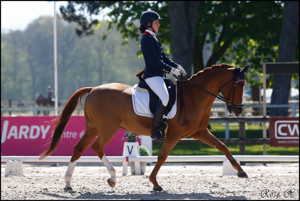 dressage - ph. rose harang