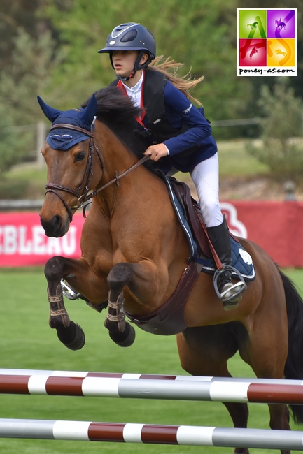 BIP 2017 Poney As