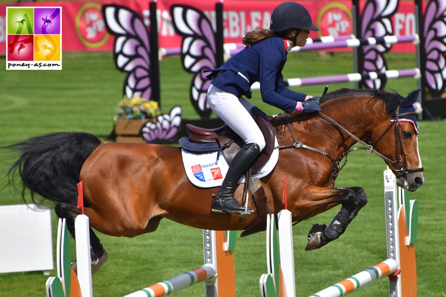 BIP 2017 poney as