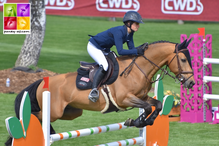 BIP 2017 poney as