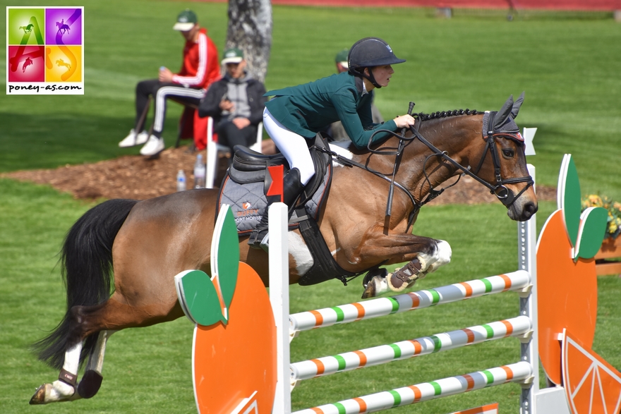 BIP 2017 poney as