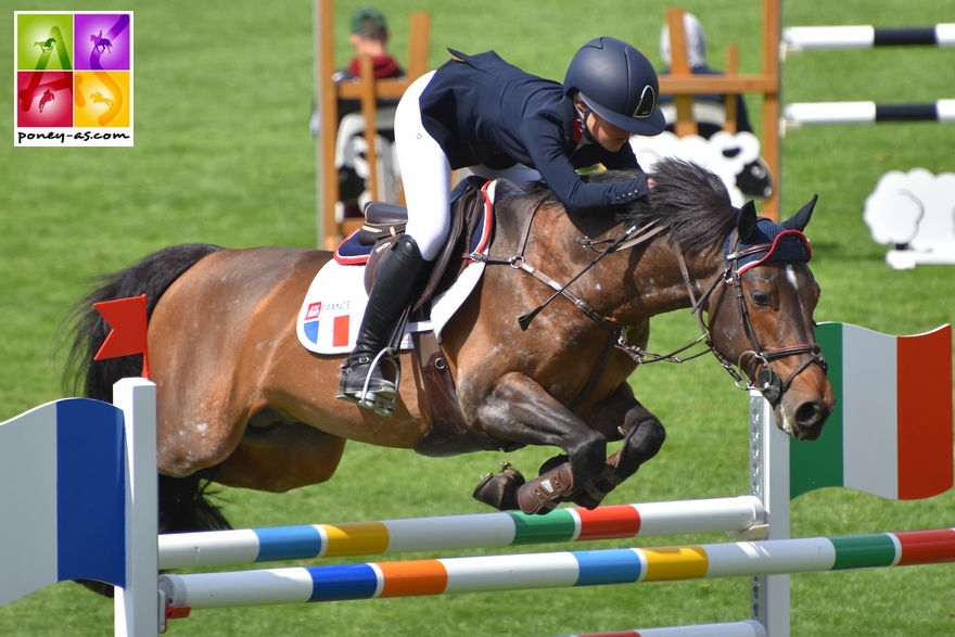 BIP 2017 poney as