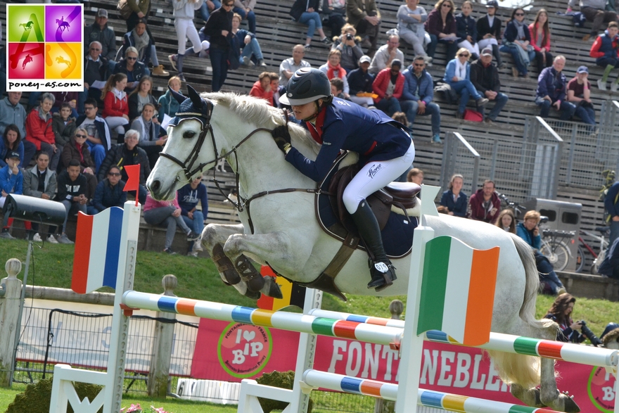 BIP 2017 poney as