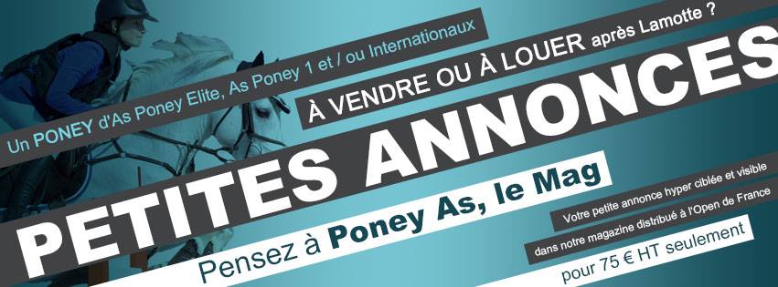 Vos annonces de poneys à vendre dans le Mag Poney As