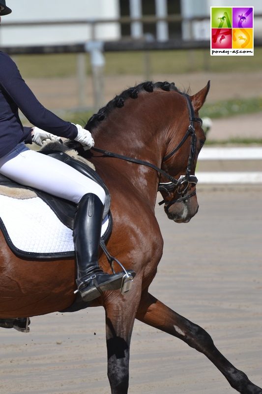 Aube Lacroix (Fra) et Dinky Toy VH Bloemenhof - ph. Pauline Bernuchon