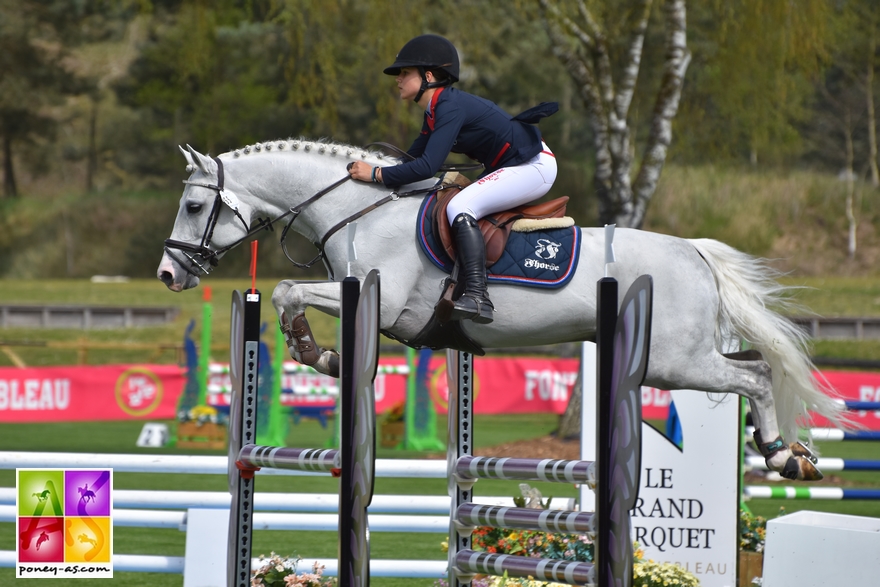 BIP 2017 Poney As