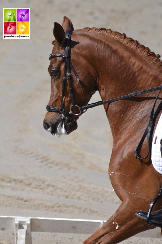 Charlotte Macdowall (Gbr) et Le Chiffre - ph. Pauline Bernuchon