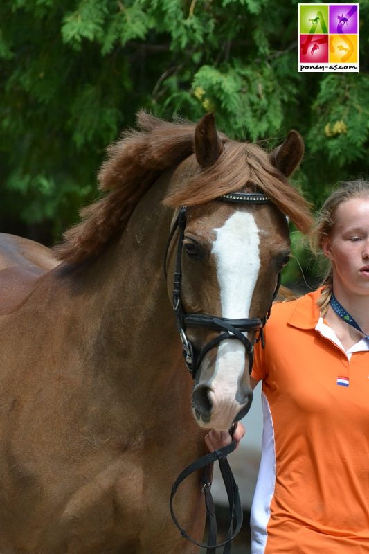 Elike Morsink (Ned) et Flame - ph. Pauline Bernuchon